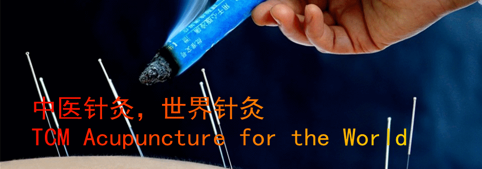 世界衛生組織 (1)